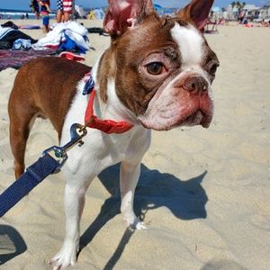 Meet your Posher, Gary